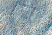 Gully Monitoring