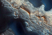 Dune Survey