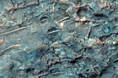 Dune Survey