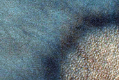 Dune Survey