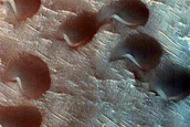 Dune Survey