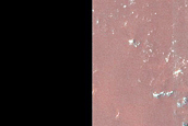 Dune Survey