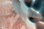 Dune Field Northwest of Nilokeras Mensae