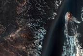 Dune Survey
