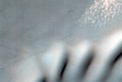 Dune Survey