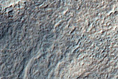 Monitoring Dust Devil Tracks