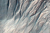 Gully Monitoring