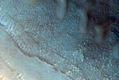 Dune Survey