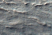 Gully Monitoring