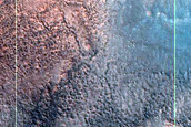 Dune Survey