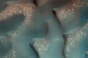 Dune Survey