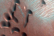 Dune Monitoring in Crater