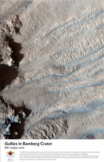 Gullies in Bamberg Crater
