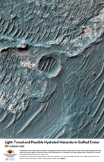 Light-Toned and Possible Hydrated Materials in a Gullied Crater