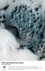 Well-Speckled Polar Dunes
