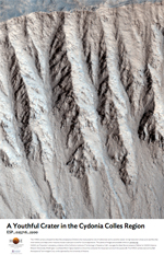 A Youthful Crater in the Cydonia Colles Region