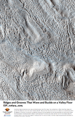 Ridges and Grooves That Wave and Buckle on a Valley Floor
