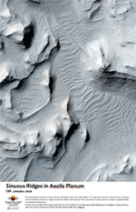 Sinuous Ridges in Aeolis Planum