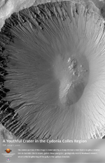 A Youthful Crater in the Cydonia Colles Region
