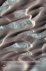 Continual Dune and Ripple Migration in Nili Patera