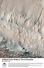 Gullied Crater Walls in Terra Cimmeria