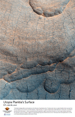 Utopia Planitia’s Surface