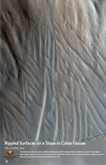 Rippled Surfaces on a Slope in Coloe Fossae