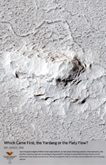 Which Came First, the Yardang or the Platy Flow?