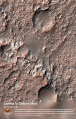 Looking for Salts on Mars