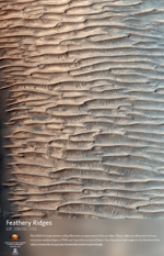 Feathery Ridges