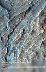 Inverted Ridges in the Eridania Basin