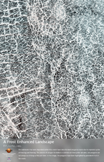 A Frost Enhanced Landscape