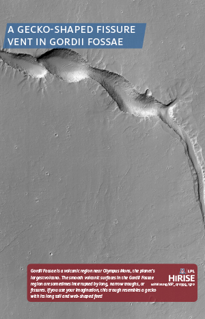 A Gecko-Shaped Fissure Vent in Gordii Fossae