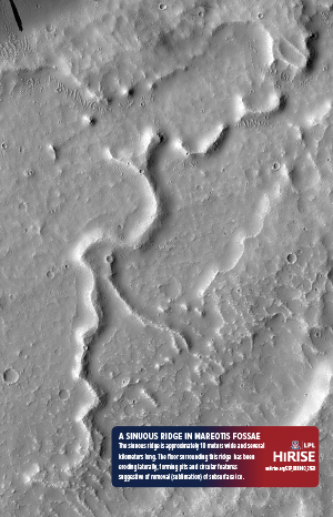 A Sinuous Ridge in Mareotis Fossae