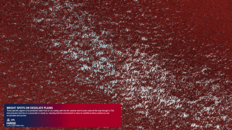 Bright Spots on Desolate Plains