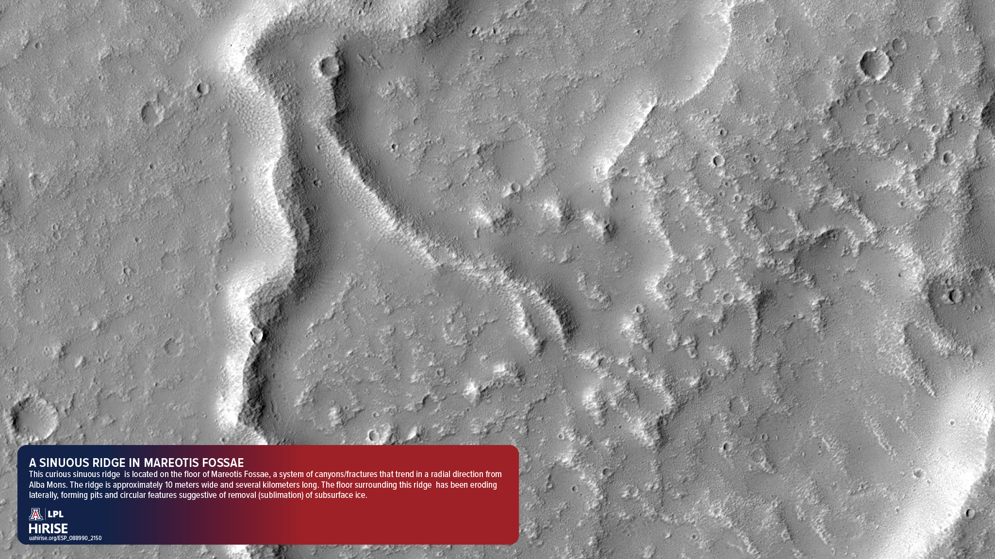 A Sinuous Ridge in Mareotis Fossae